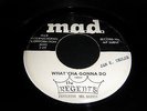 THE REGENTS - WHATTCA GONNA DO - MAD