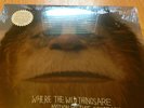 Karen O and the Kids Where the Wild Thing Are Soundtrack OOP Yeah Yeah Yeahs