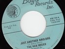 THE NEW BREED *JUST ANOTHER BIRD-DOG* US RARE  BLUE EYED SOUL