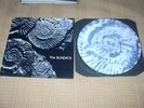 THE SUNDAYS LP PICTURE DISC IN STICKERED COVER UK ORIGINAL ALL MINT