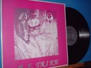 LP-  B.F.TRIKE- 1971 USA HEAVY PSYCH LP MINT ROCKADELIC