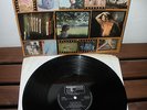THE WHO 