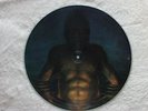 Tool - Aenema Picture Disc Promo Only RARE 3 song 12