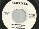 SURF INSTRO bw/ HOT ROD VOCAL--PYRAMIDS---MIDNIGHT RUN---HEAR BOTH-on CEDWICKE