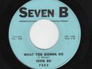 NORTHERN SOUL/NEW ORLEANS-EDDIE BO-SEVEN B 7002-WHAT YOU GONNA DO/FALLIN' IN LO'