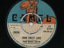 YOUR SWEET LOVE / KEEP IT MOVING  The SOUL CATS ( 1969 Skinhead Reggae ) ?
