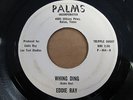 EDDIE RAY - Whing Ding | RARE Texas surf garage instrumental | Palms 45 HEAR