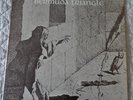 ORIG Bermuda Triangle S/T LP Winter Solstice SR-3338 Private Psych Folk Signed
