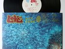 Love Arthur Lee Blue Thumb White Label DJ Psych 2LP 1969 Hype Sticker