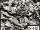 Infest 