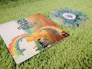 Black Moth Super Rainbow w/ Octopus Project House of Apples and Eyeballs VINYL