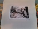 SUNN O))) White Box LP Southern Lord DOOM METAL boris isis burning witch earth