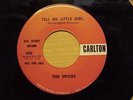 RAREST OF THE RARE 1ST PRESS DJ DOO WOP 45 
