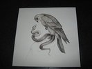 SAVAGES - Flying to Berlin 7