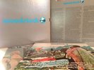Woodstock Mobile Fidelity Sound Labs 5 LP's Audiophile Master Box Set