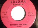 SWEET NORTHERN SOUL 45-OTIS BROWN-SOUND OF THE WIND /FIND SOMEBODY NEW on LUJUNA