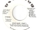 NORTHERN SOUL THE FANTASTIC PUZZLES  