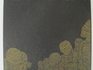 CIRCLE TAKES THE SQUARE / PAGENINETYNINE split 7