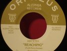 ARCESIA Reaching RARE 1979 ORPHEUS WEIRD psych OUTSIDER 45 Pictures In My Window
