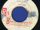 1040 JIVING JUNIORS-LOVERS LINE-TU WAP UP TU WOO-R & B-1960 REGGAE 45 7