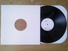 VITAMIN X bad trip lp - TEST PRESS only 5 made sxe hardcore life's halt ds13