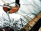 Juturna by Circa Survive (White Marble Vinyl Record, Equal Vision)