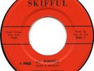 PICTORIAN SKIFFULS In Awhile TOP CONDITION COPY 1965 Ohio garage classic