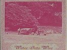 WATER INTO WINE BAND uk orig 
