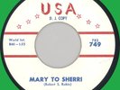 JAY JOHNSON  Mary to Sherri 45rpm USA 1963 teen sound doo-wop