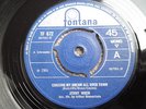 Jenny Wren - Chasing My Dream All Over Town - UK Fontana