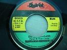 PETER & PAUL LEWIS ethiopian land BLACK ART JAMAICAN ORIGINAL roots reggae dub