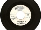 SURF GUITAR INSTRUMENTAL ROCKER- THE REVELS- 