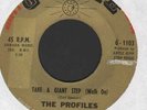NORTHERN SOUL   THE PROFILES    