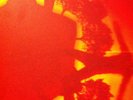 Boards Of Canada Geogaddi  Rare 3 Lp Warp Idm Boc