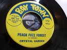 CRYSTAL GARDEN Peach Fuzz Forest 1968 SAN FRANCISCO GARAGE FUZZ PSYCH 45 LISTEN