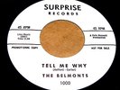 THE BELMONTS Tell Me Why 45 Rare Original Surprise WL Promo Doo Wop NM Beauty