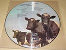 Pink Floyd - Atom Heart Mother Picture Disc