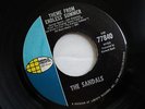 SURF 45 The Sandals - Theme From Endless Summer   World Pacific VG+