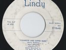 PRIVATE 1959 MN Rockabilly 45 - MARV BLIHOVDE 