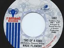 Rare Northern Soul 45 Wade Flemons 'Two of a Kind' 'Knew You'd Be Mine' Ramsel