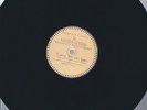 Quarrymen - The Beatles 
