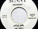 THE RIFFS 45 Little Girl SUNNY Doo Wop WL Promo #H657