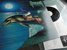 NAZARETH         - THE FOOL CIRCLE -    TOP US PRESSUNG