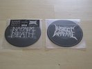 Napalm Death / Insect Warfare split 7