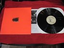 ANIMAL COLLECTIVE Hollinndagain LP St Ives SAINT04 Ltd Ed 300 US TOUR Black Dice