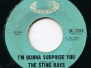 STING RAYS I'M GONNA SURPRISE YOU & LADY BE GOOD NORTHERN SOUL MOD GARAGE 45 ?