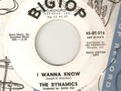 THE DYNAMICS - I WANNA KNOW / AND THATS A NATURAL FACT PROMO  NORTHERN SOUL 45