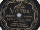 Victor 40240 JIMMIE WILSON CATFISH STRING BAND great bowed bass DALLAS 1929