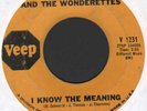 NORTHERN SOUL   ROSE ST. JOHN & THE WONDERETTES    
