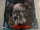 Slayer - South of Heaven PICTURE DISC LP Metallica Megadeth Exodus